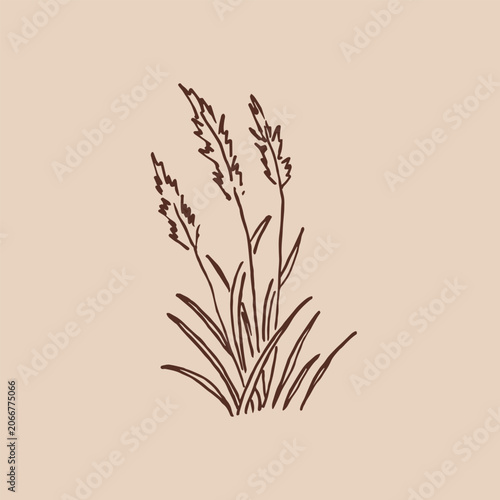 Bild auf Leinwand Tufts greenery. Hand drawn vector illustration.