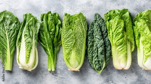 Fresh Organic Varieties of Lettuce Displayed in a Row on Gray Surface