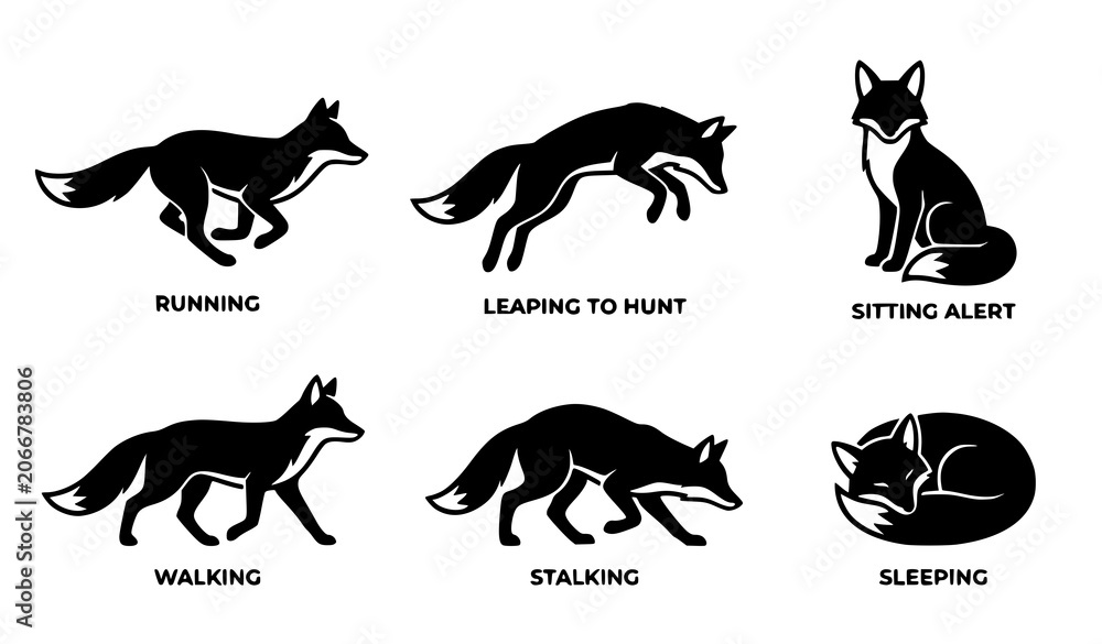 Obraz premium Fox silhouette vector set with wild animals in running jumping hunting and sitting poses isolated on white background