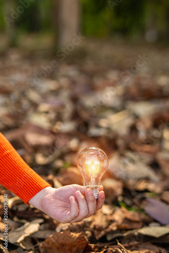 light bulb against nature, icons
