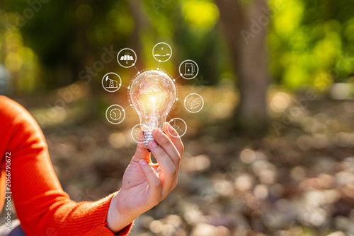 light bulb against nature, icons