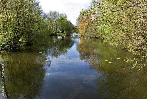 scenic and romantic view of the river banks with foliage