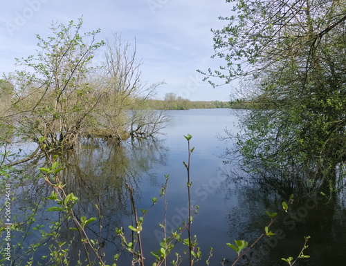 scenic and romantic view of the river banks with foliage