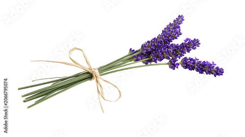 Foto Lavender sprigs tied with raffia bow