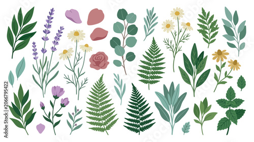 Nature Botanical Elements: Herbs, Flowers, Leaves & Petals - Vector Collection