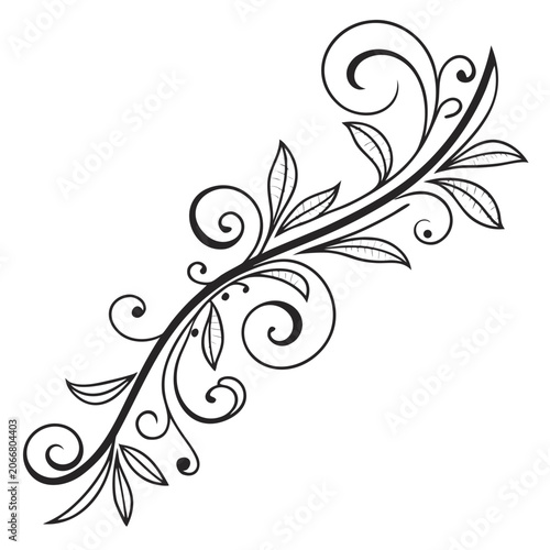 Detailed vine flourish with leaves decorative element.