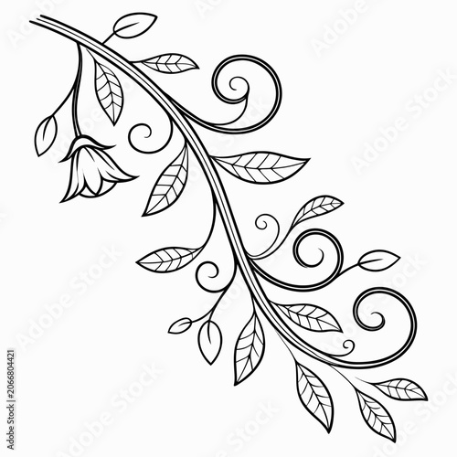 Vine with flower bud and leaves decorative motif.