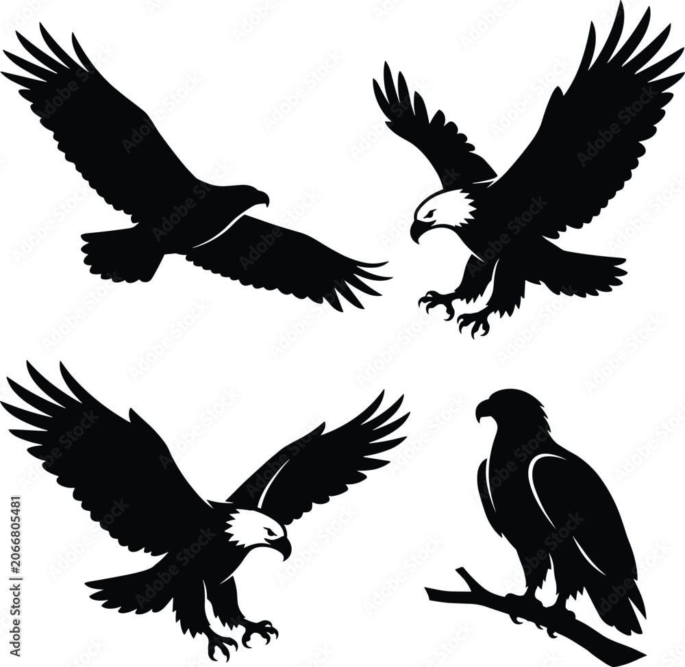 Fototapeta premium Eagle silhouette set, black flying and perched predatory birds vector collection