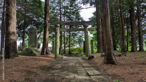 鳥居の風景