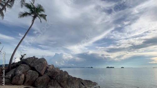 Landscape with tall palm trees on the ocean shore