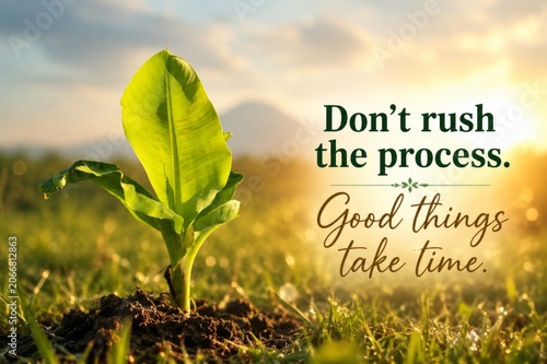 Embrace growth with patience