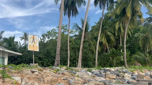 Landscape with tall palm trees on the ocean shore