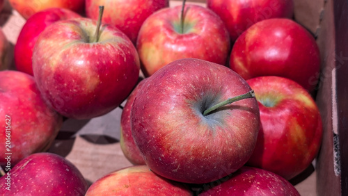 close up of fresh ripe red apples background