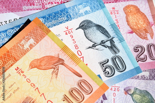 Obraz na plátně Colorful Sri Lankan rupee banknotes