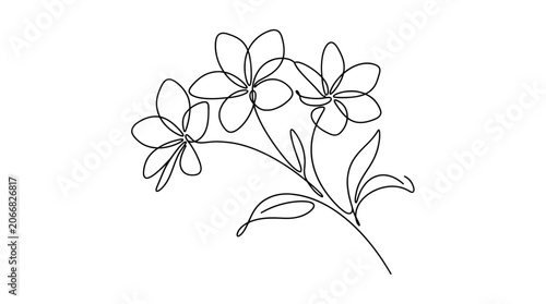 Continuous line drawing of a flower branch