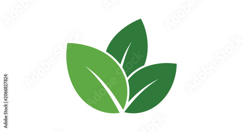 Organic shapes with leaves creative abstract colorful pattern.eps