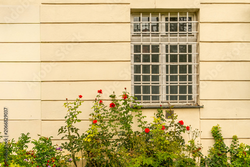 Elegant Windows