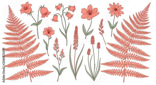 Hand-drawn botanical illustration set featuring peach fern fronds and delicate wildflowers on a clean white background