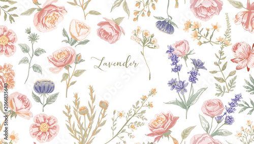 Romantic botanical watercolor illustration featuring pink roses and purple lavender blooms on a white background