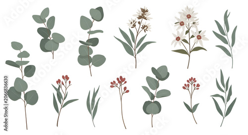 Elegant botanical collection featuring diverse stylized eucalyptus branches, delicate wildflowers, and lush green foliage elements, ideal for modern design projects and decorative accents