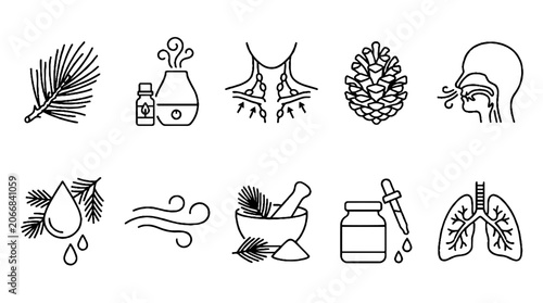 Pine essential oil aromatherapy and respiratory health line icon set.