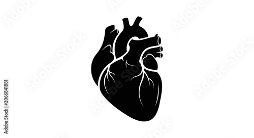 Anatomical Heart Silhouette, Black and White, Medical Symbol