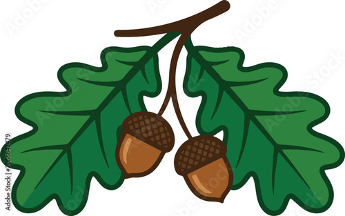 Oak leaves with acorns vector graphic isolated on white background