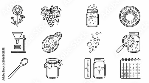 Hand Drawn Fermentation and Science Icons Set Featuring Grapes Jars and Laboratory Equipment.
