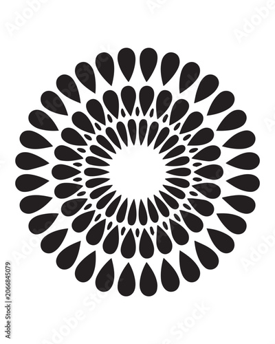 Floral Mandala Art and Decorative Patterns
