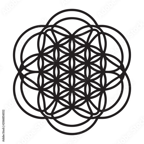 A sacred geometry pattern featuring a flower of life circular design isolated on a clean white background for spiritual artistic projects