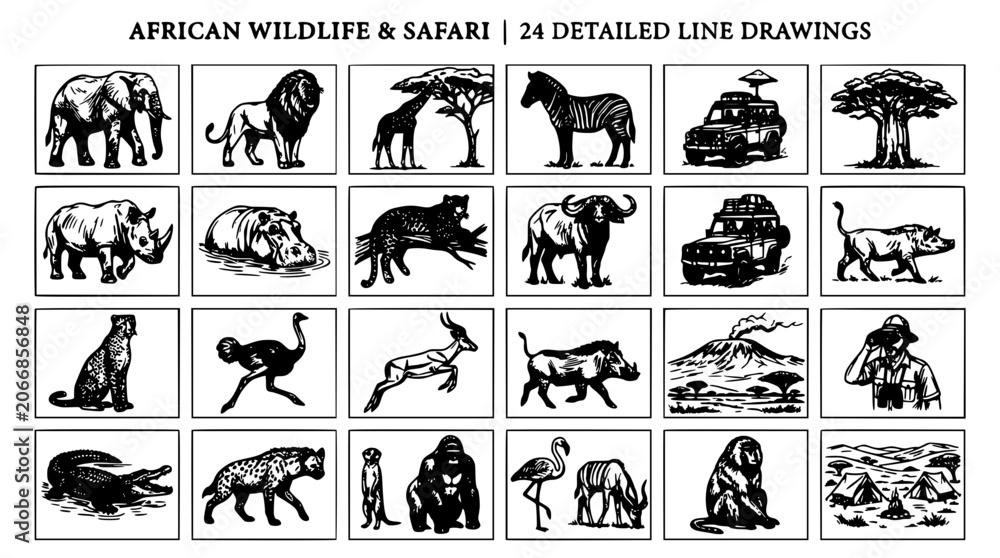 Fototapeta premium African Wildlife Safari Set with Black Detailed Line Drawings of Elephants, Zebras, Lions, and Other Animals in Frames