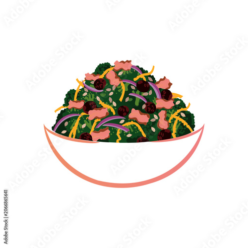  Premium Appetizing Broccoli Salad Single Isolated Fresh Healthy Food vector illustration
