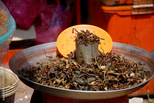 Fried cockroaches and other edible insects are widely available for sale across Cambodia as a popular