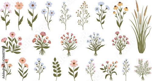 Quadro su tela Elegant Meadow Wildflower Stem and Herb Vector Botanical Set Featuring Chamomile