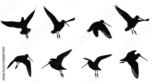 Schilderij op canvas Shorebird Silhouettes In Flight Black Shapes Against White Background Silhouette