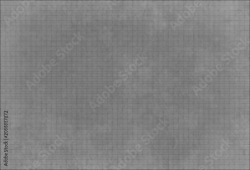 A gray concrete surface fills the entire view from a close-up perspective