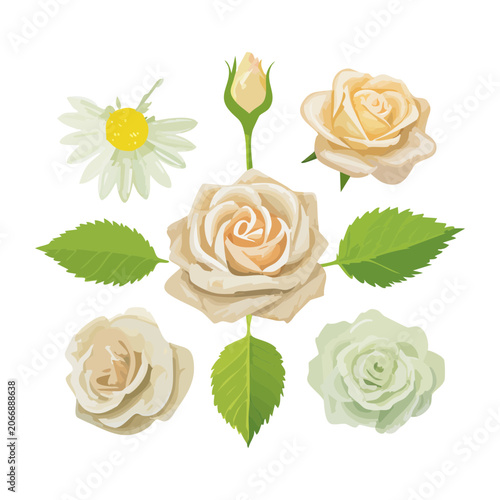 Illustration of roses and flowers on white background