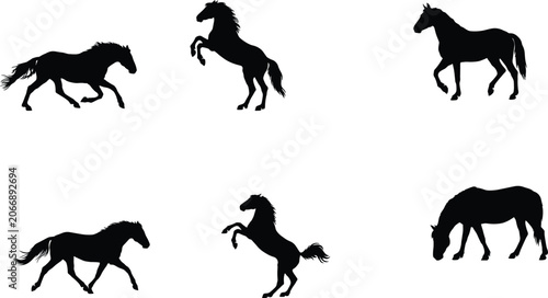 Bild auf Leinwand Wild Horse Silhouette Collection Featuring Running Rearing Walking and Grazing E