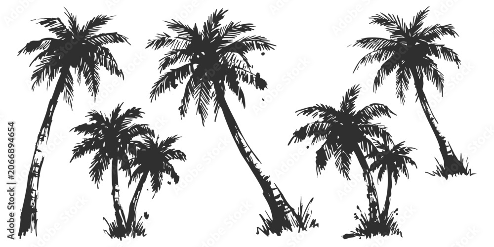 Obraz premium Set of black hand drawn sketch palm trees isolated on a simple design for tropical summer beach art concepts