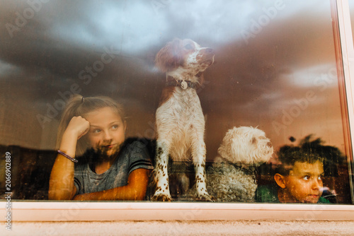 Canvas Print Kids and dogs watching storm through window