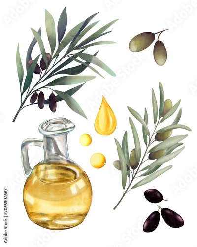 Watercolor Olive oil set with oil carafe, oil Drops, Olive branches, Green and black olives. Good for Food packaging, mediterranen Branding, Olive oil Labels, culinary Design