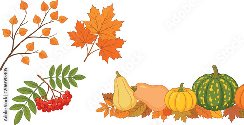 Fotografía Autumn arrangement vector elements set with colorful maple leaves pumpkins squas