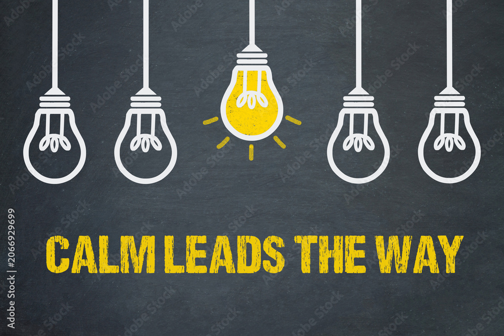 Obraz premium Calm leads the way