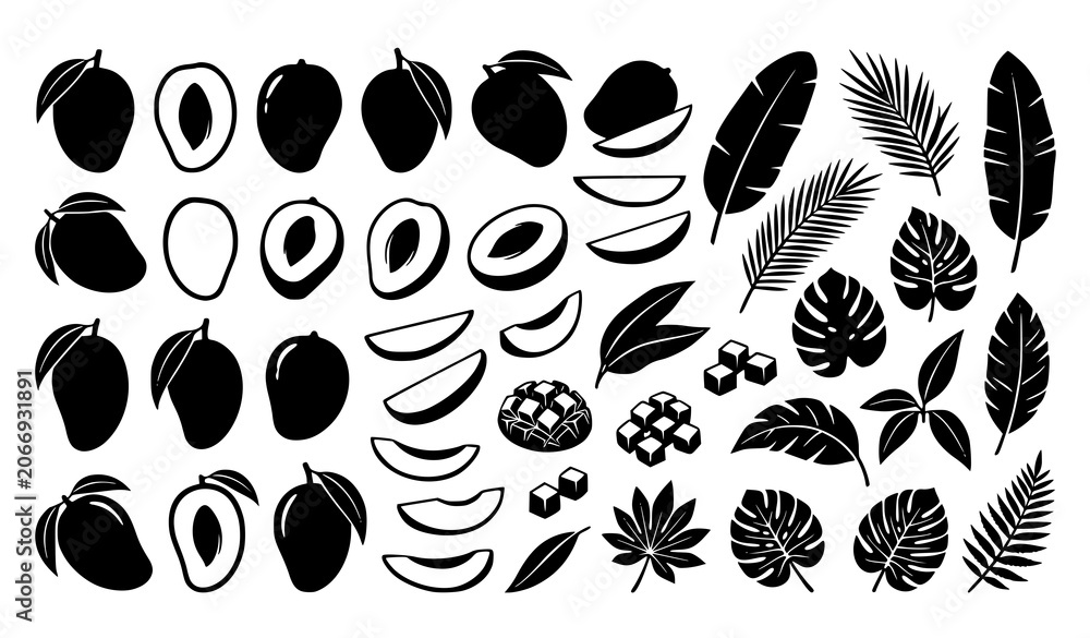 Fototapeta premium Tropical fruit slices leaves and botanical silhouette collection isolated natural vector illustration set