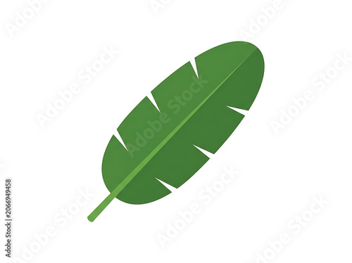 Single fresh green leaf with visible veins isolated.