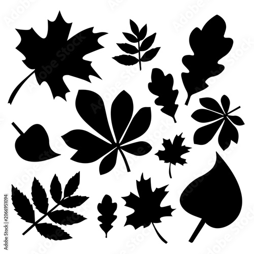 Autumn Leaf Silhouette Collection Vector Set Isolated on White background