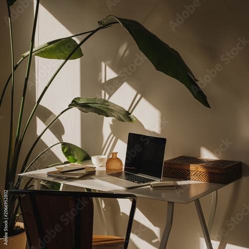 Fotografie Aesthetic home office workspace with laptop tropical plant sunlight shadows on b