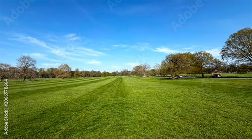 Vászonkép A wide sweep of lush green parkland unfolds beneath a bright blue sky, the distant line of trees adding depth and gentle contrast to the view near Harewood Village in Leeds, UK