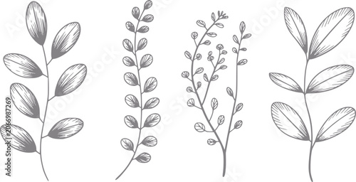 Bild auf Leinwand グレーの輪郭で描かれた4つの繊細な植物の小枝の手書き植物画