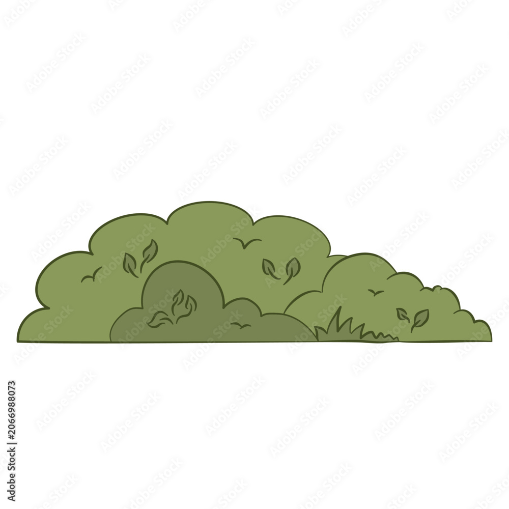 Fototapeta premium Green long bush shrub nature garden vegetation